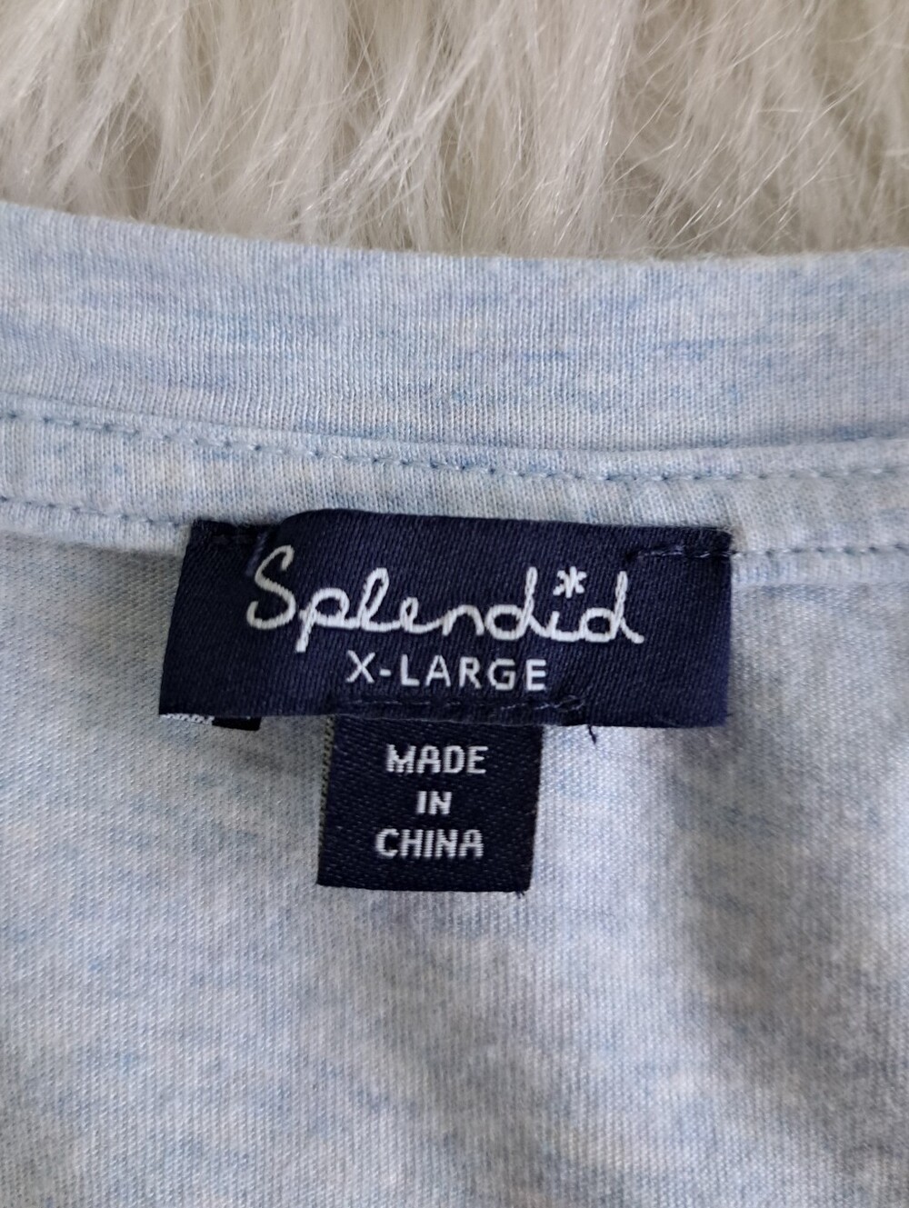 Splendid Star Tee - Picture 6 of 7